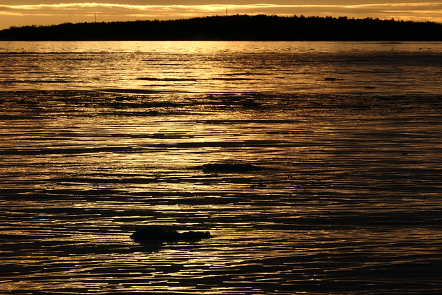 Waiting for the sunset (Lauttasaari, Helsinki, 20220220)