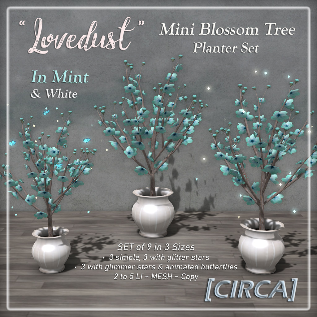 @ Mystical Market | [CIRCA] – "Lovedust" Mini Blossom Planter Set – In Mint