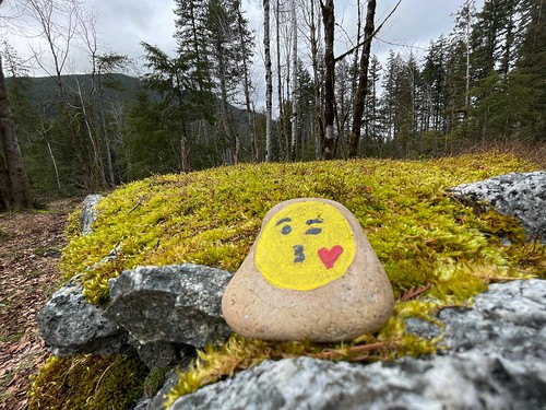 Wink-y Kiss Painted Rock set on the rocks of the sign