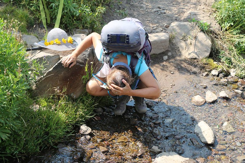 It was hot, so Vicki wet her head in a small creek that crossed the PCT