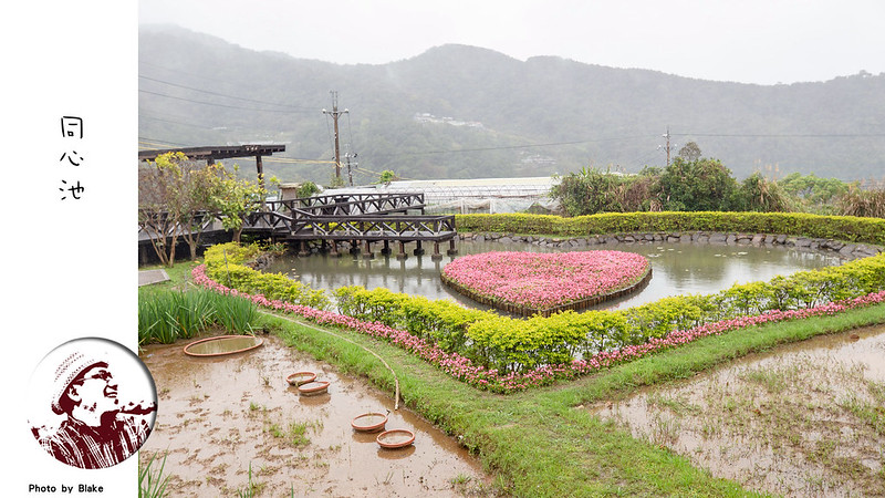 內湖碧山巖步道,內湖草莓一日遊,內湖碧山巖夜景,台北採草莓一日遊,內湖碧山巖美食,內湖草莓,內湖碧山巖交通,碧山巖採草莓,內湖碧山巖公車,內湖碧山巖草莓,碧山巖,採草莓,內湖採草莓一日遊,內湖草莓季,碧山巖草莓,內湖碧山巖,碧山巖 草莓 @布雷克的出走旅行視界