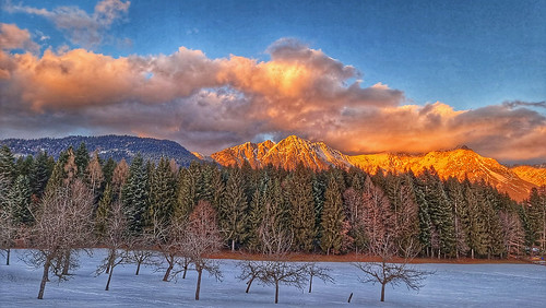 alpenglow sundown sunset mountains winter winterlandscape snow trees forest clouds winterimpression austria alps sonnenuntergang alpen österreich alpenglühen