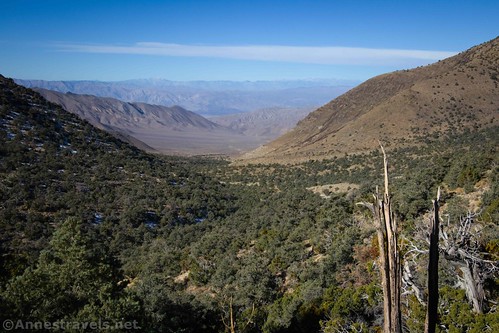 Looking down Wildrose Canyon to the Sierras, Death Valley National Park, California
