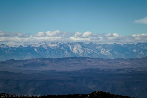 The High Sierras from Wildrose Peak, Death Valley National Park, California