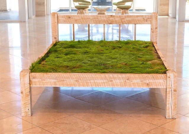 A bed with grass and a soil mattress.