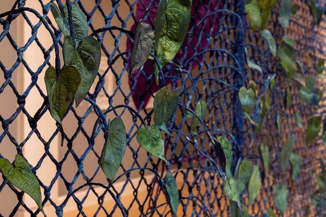 A fence with leaves as part of an art display.