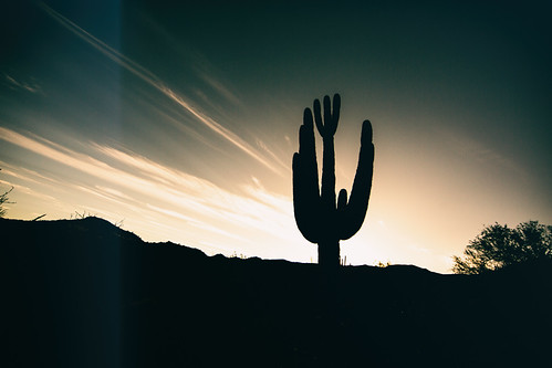 Roll the Credits by Thomas Hawk, america arizona bartlettlake cavecreek saguaro tontonationalforest usa unitedstates unitedstatesofam
