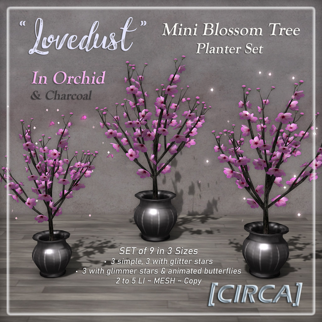 @ Mystical Market | [CIRCA] - "Lovedust" Mini Blossom Planter Set - In Orchid