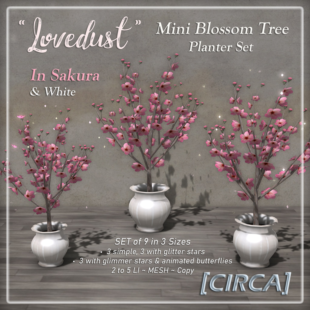 @ Mystical Market | [CIRCA] – "Lovedust" Mini Blossom Planter Set – In Sakura