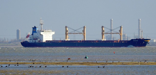 'Moleson' Bulk Carrier Ship On The Thames