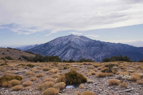 Telescope Peak from Wildrose Peak, Death Valley National Park, California