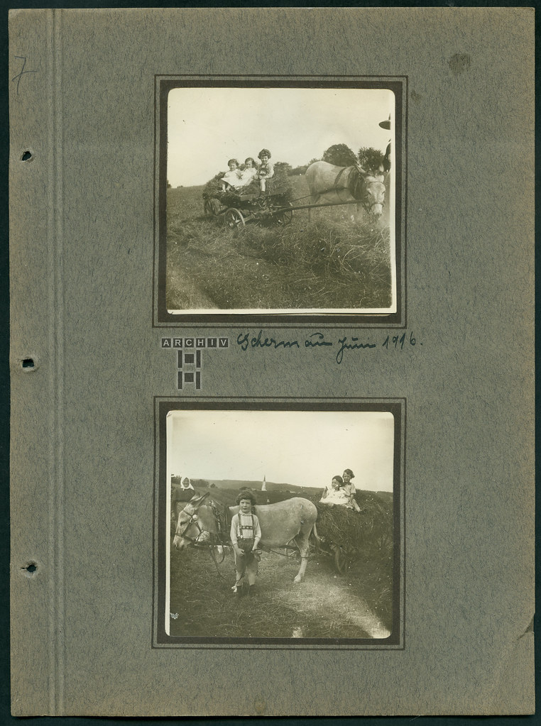 ArchivTappen27 Album16x220 Gesamtseite 7, 1900-1917