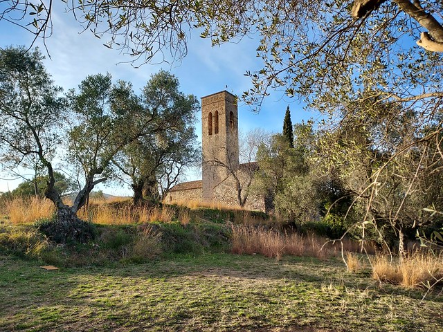 Vista Angular entre la vegetació de l'ermita Romànica de Castellar Vell. Angular view between the vegetation of Castellar Vell Romanesque church. Catalunya, Catalonia.