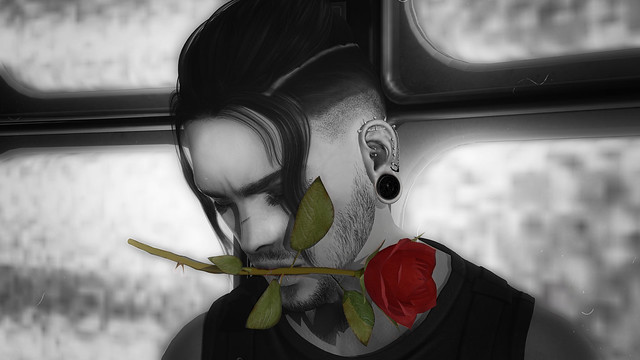 Surrounded by black I close my eyes and offer you this rose my lady melody