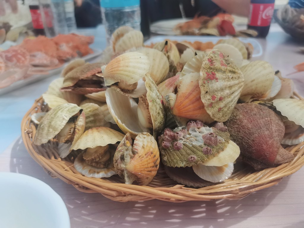 A plate of scallops sold at one peso per piece in Cabugao Gamay, Gigantes Islands