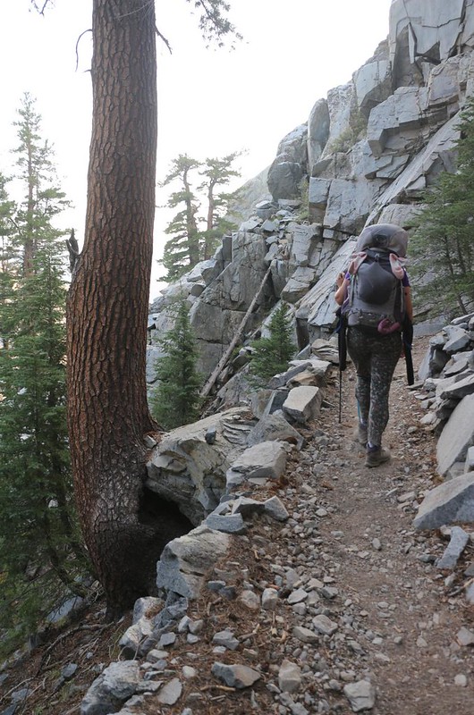 Climbing the steep switchbacks south from Shadow Lake toward Rosalie Lake on the JMT