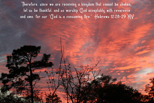 Holly Oaks⎪Jacksonville, FL by Humble Christ Follower, Dear friend, here are 5 things you should know:
1. Like it or not, we are ALL sinners: As the Scrip