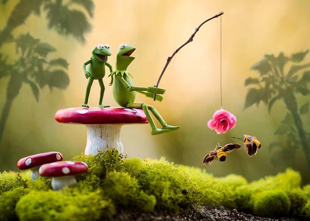 Funny Kermit Toy Photography