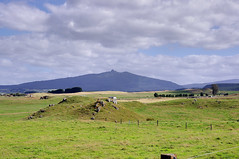 2014-01-23_17-18-59_NZ_landscape_from_Scott Road