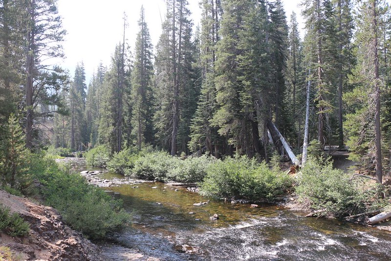 The Middle Fork San Joaquin River was flowing nicely near the Upper Soda Springs Campground