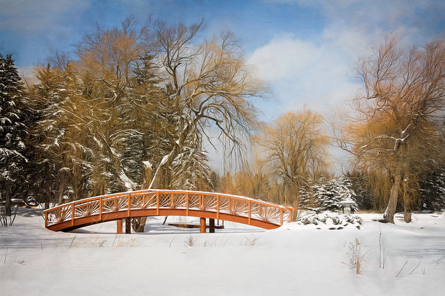 Willow Tree Pond in Winter