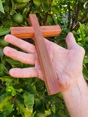 Lenten Study 2022: Questioning Our Grip on the Cross