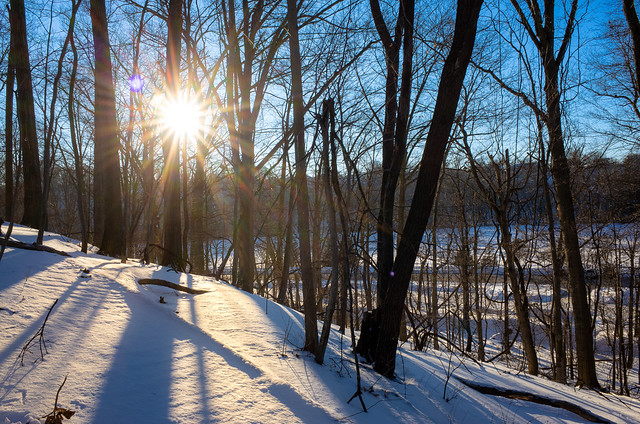 Sunstar and Snow
