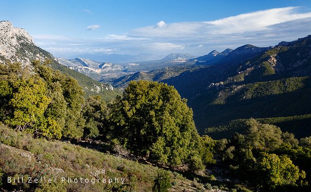 View Near Genna 'e Silana Pass, Gennargentu N.P., Sardinia