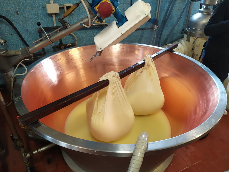 Cómo visitar una fábrica de queso Parmesano