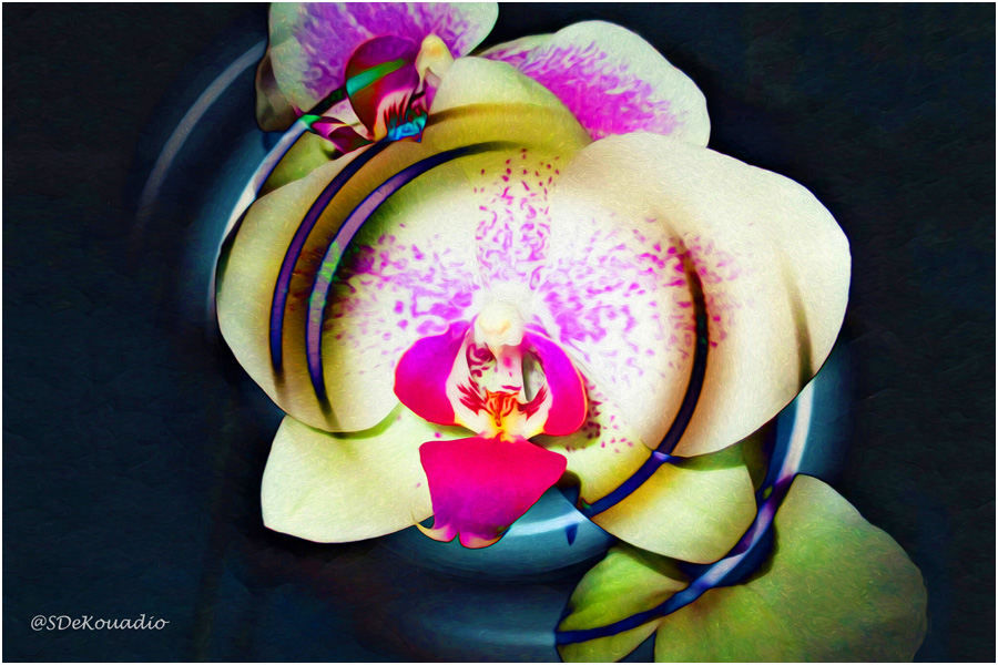 Abstract Orchid