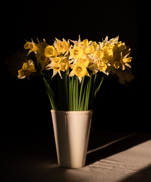 Daffodils, seasonal bouquet