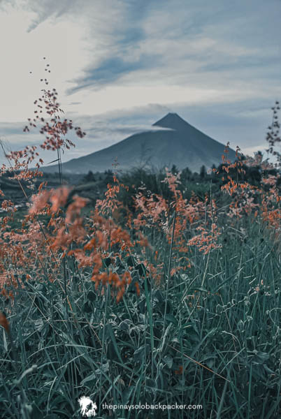 Legazpi Travel requirements: Mt.Mayon