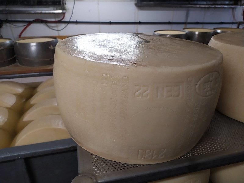 Visita a una fábrica de queso Parmesano