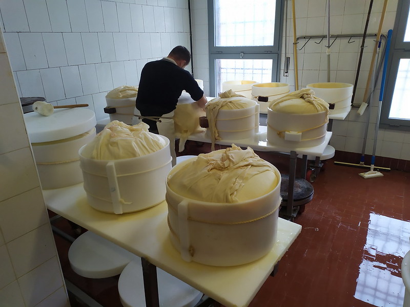 Visita a una fábrica de queso Parmesano