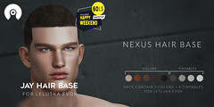 NeXus Jay Hairbase - Lelutka EvoX