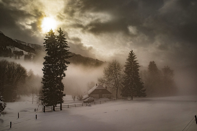 Swiss winter time, in the fog. Canton Vaud Switzerland, no. 385.