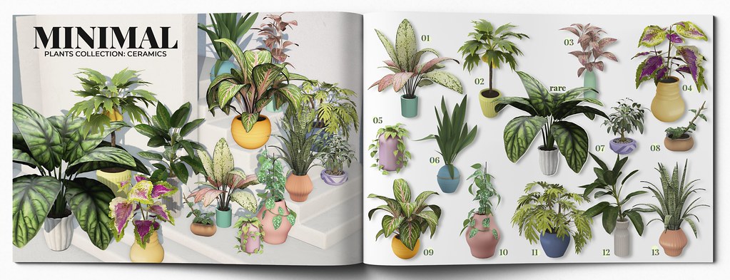 MINIMAL – Plants Collection:Ceramics