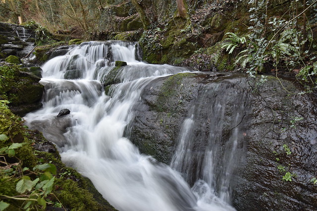 Shropshire Waterfalls: Badger Dingle