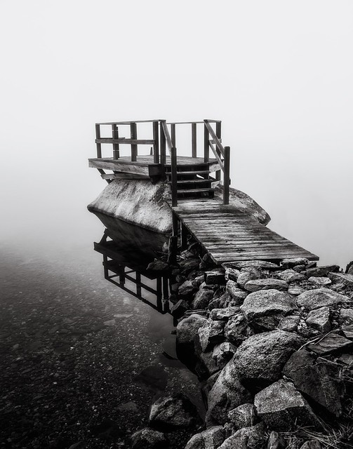 Foggy Dock