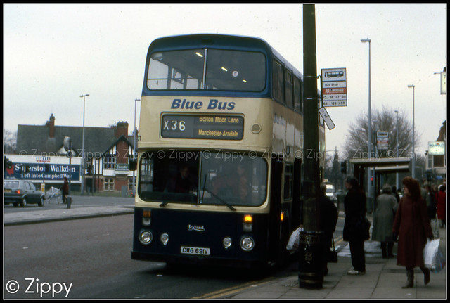 Blue Bus -  31 CWG691V