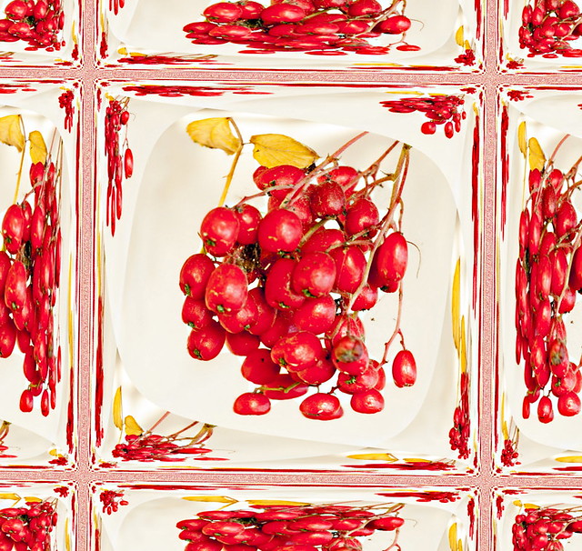 Red Fruit Tile