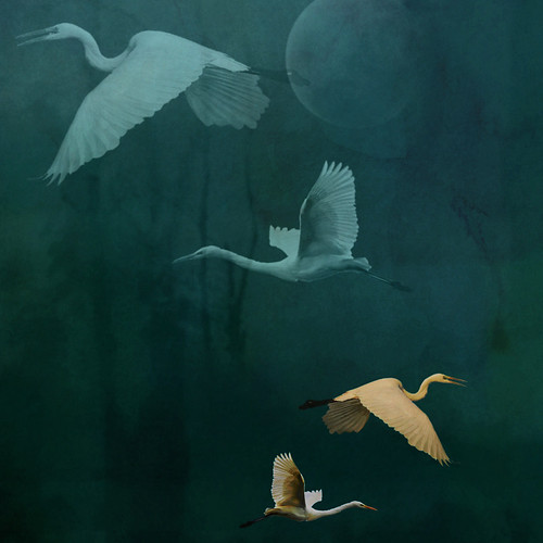 … as if seeing yourself leaving before arriving. | by Angie Lambert