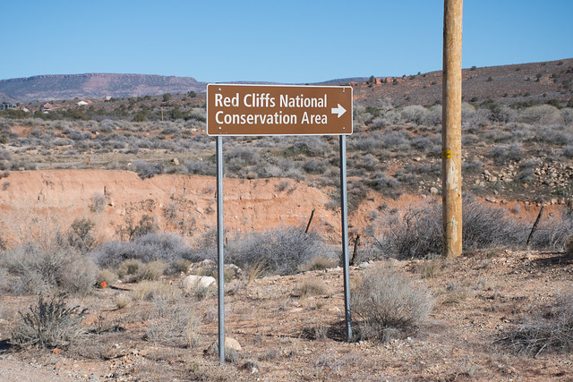 East Wilderness ~ Red Cliffs National Conservation Area
