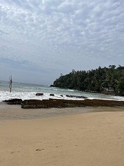 Mirissa Beach - The Slow -Sri Lanka Photo Heatheronhertravels.com