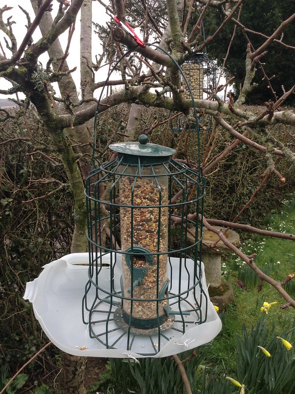 Bird seed feeder hack