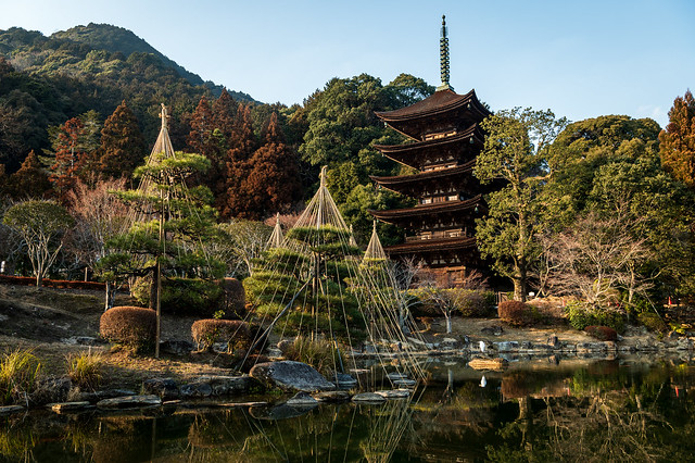 五重の塔と雪吊りーFive‐storied pagoda and Yukitsuri(snow suspension)