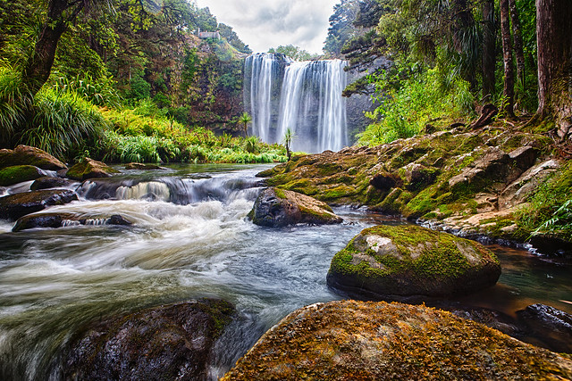 Whangarei Falls, New Zealand