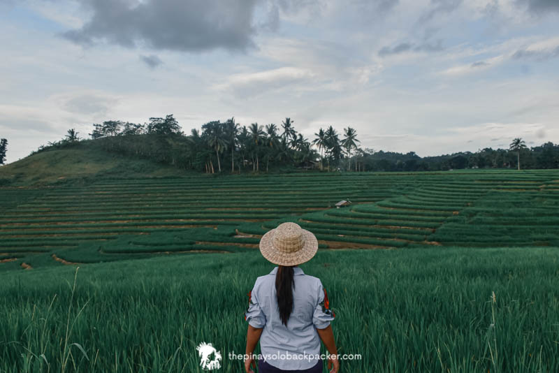 Backpacking Bohol: Cadapdapan Rice Terraces