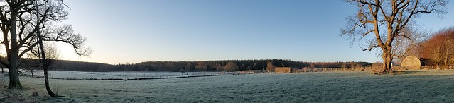 Frosty Morning in Gosford