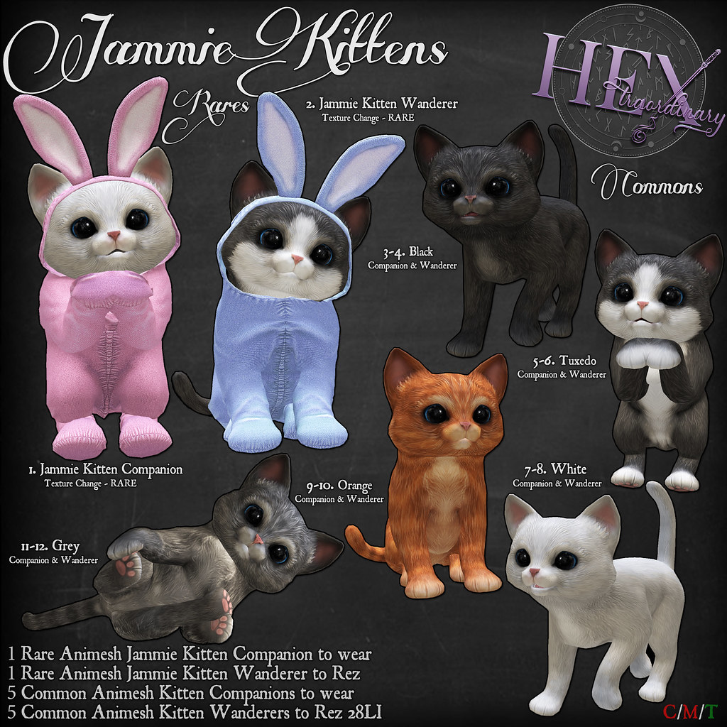 HEXtraordinary – Jammie Kittens – The Arcade